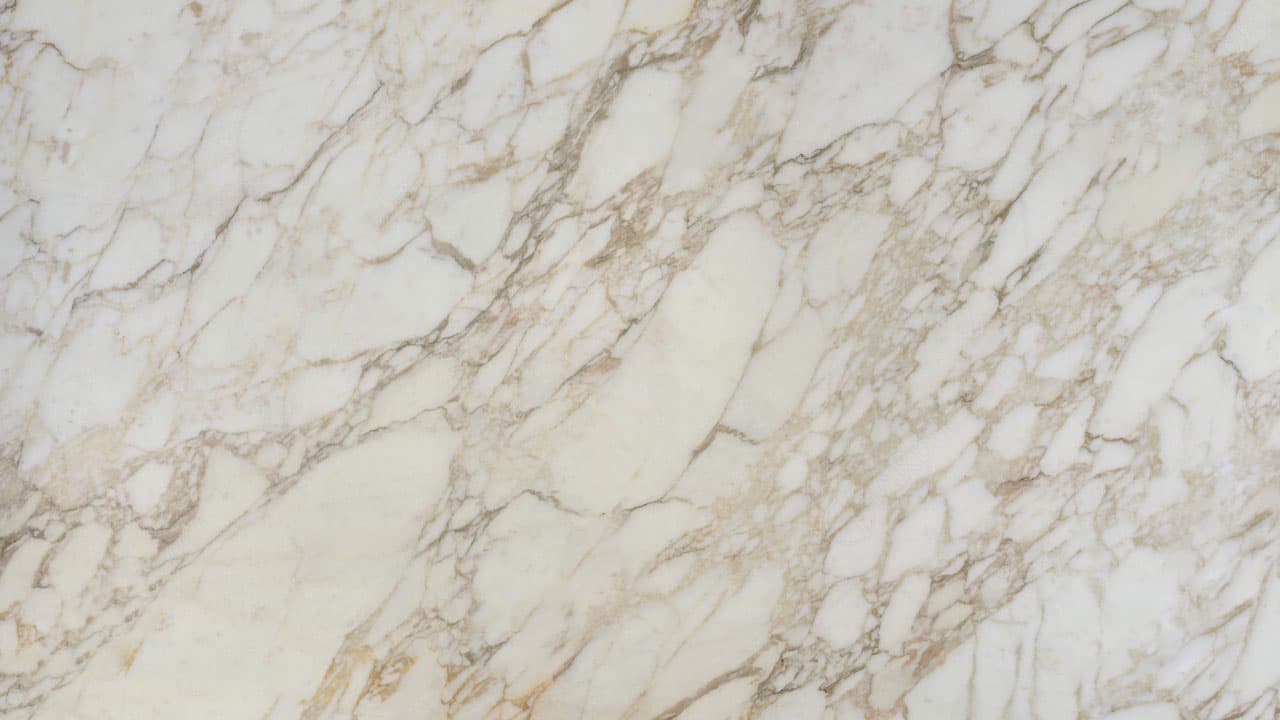 Calacatta Gold